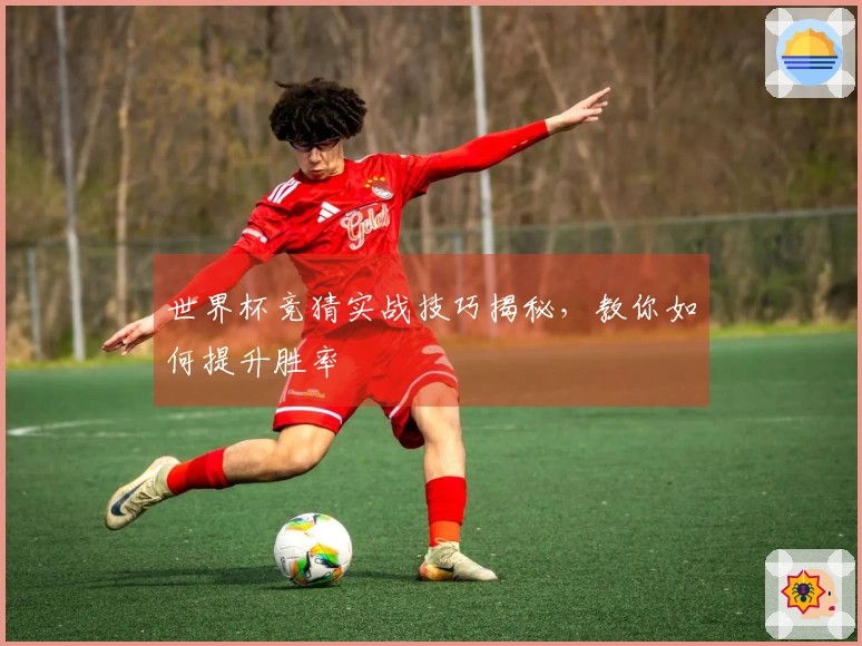世界杯竞猜实战技巧揭秘，教你如何提升胜率