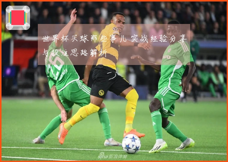 世界杯买球那些事儿 实战经验分享与投注思路解析