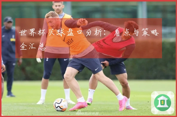 世界杯买球盘口分析：看点与策略全汇总