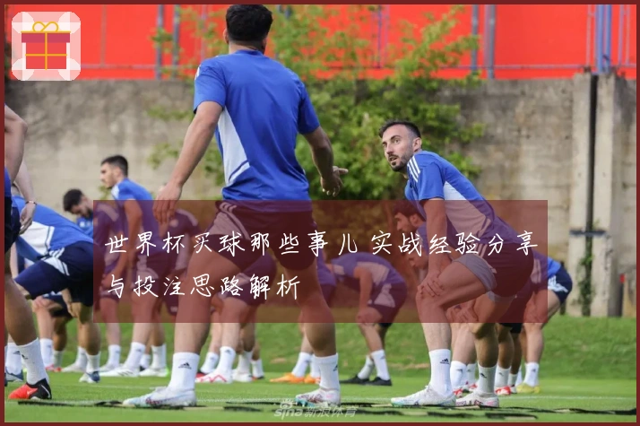 世界杯买球那些事儿 实战经验分享与投注思路解析