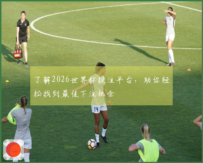 了解2026世界杯投注平台，助你轻松找到最佳下注机会