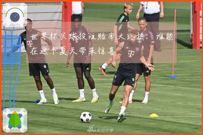 世界杯买球投注赔率大比拼：谁能在这个夏天带来惊喜